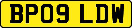 BP09LDW
