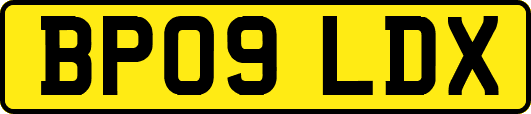 BP09LDX