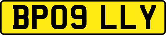 BP09LLY