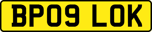 BP09LOK
