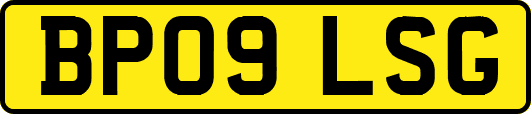 BP09LSG