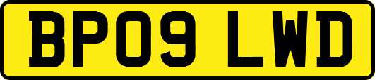 BP09LWD
