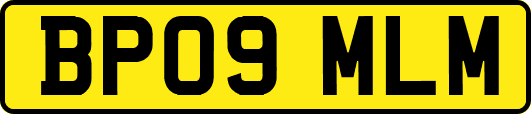 BP09MLM