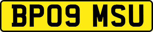 BP09MSU