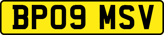 BP09MSV