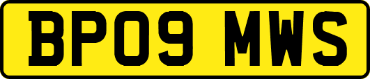 BP09MWS