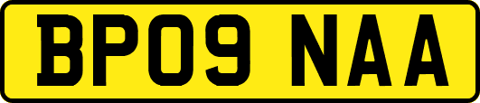 BP09NAA