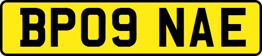 BP09NAE