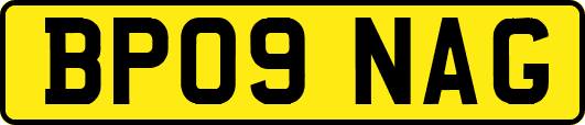BP09NAG