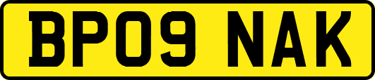 BP09NAK