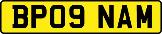BP09NAM