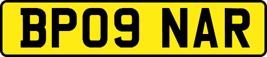 BP09NAR