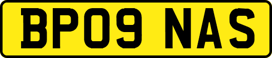 BP09NAS