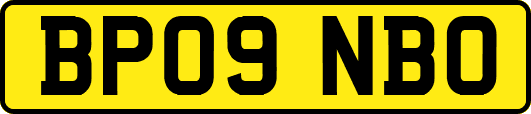 BP09NBO