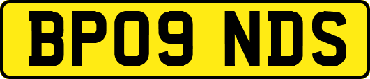 BP09NDS