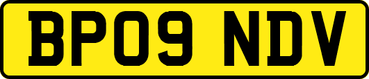 BP09NDV