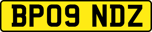 BP09NDZ