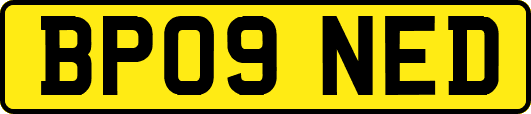 BP09NED
