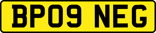 BP09NEG