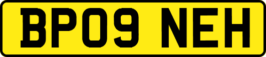 BP09NEH