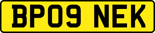 BP09NEK
