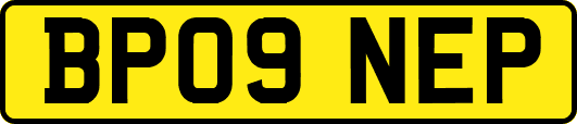 BP09NEP