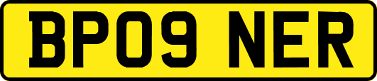 BP09NER