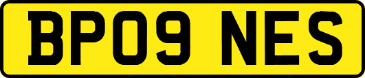 BP09NES