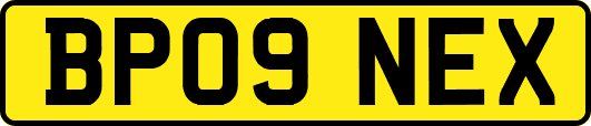 BP09NEX