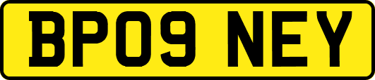 BP09NEY