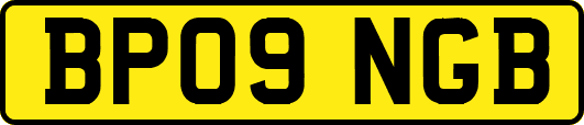 BP09NGB