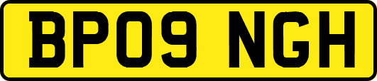BP09NGH