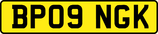 BP09NGK