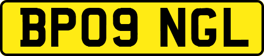 BP09NGL