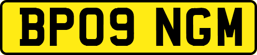 BP09NGM
