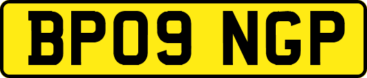 BP09NGP