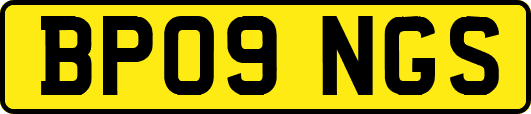 BP09NGS