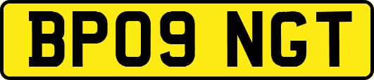 BP09NGT