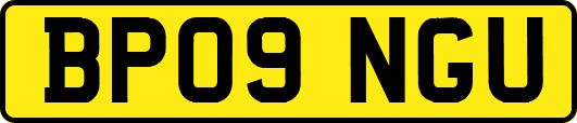 BP09NGU