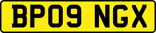 BP09NGX