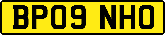 BP09NHO