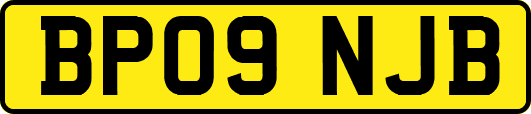 BP09NJB