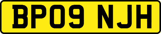 BP09NJH