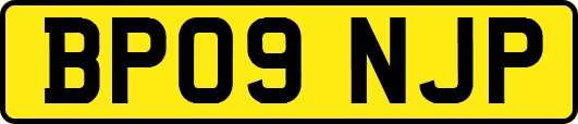 BP09NJP