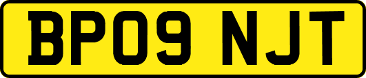 BP09NJT