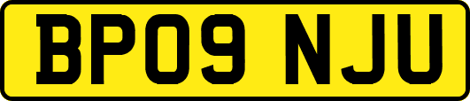 BP09NJU