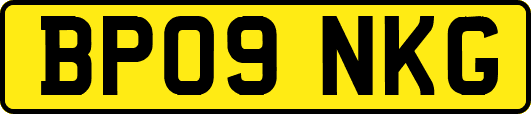 BP09NKG