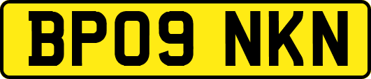BP09NKN