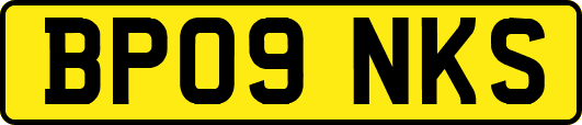 BP09NKS
