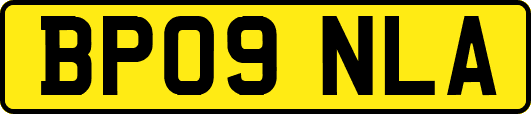 BP09NLA